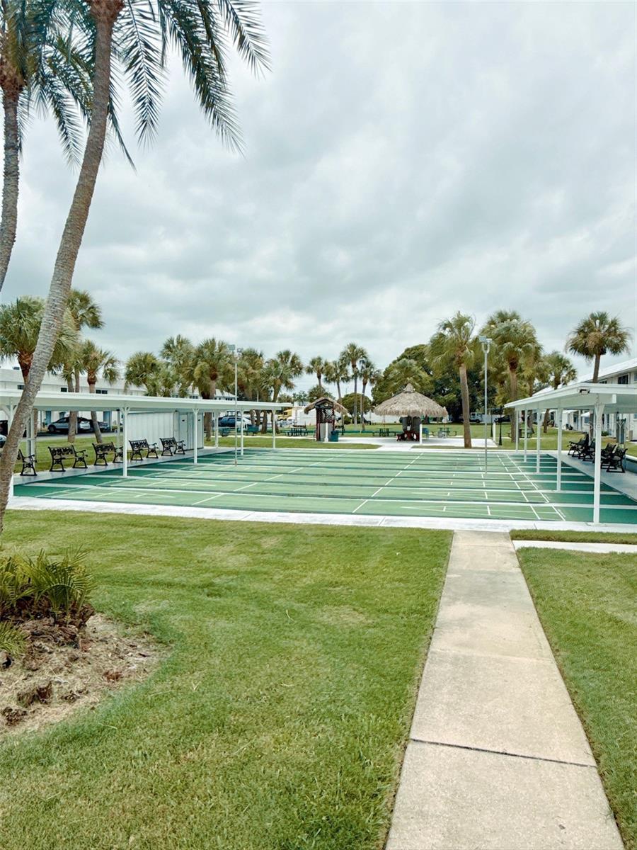 Community shuffleboard