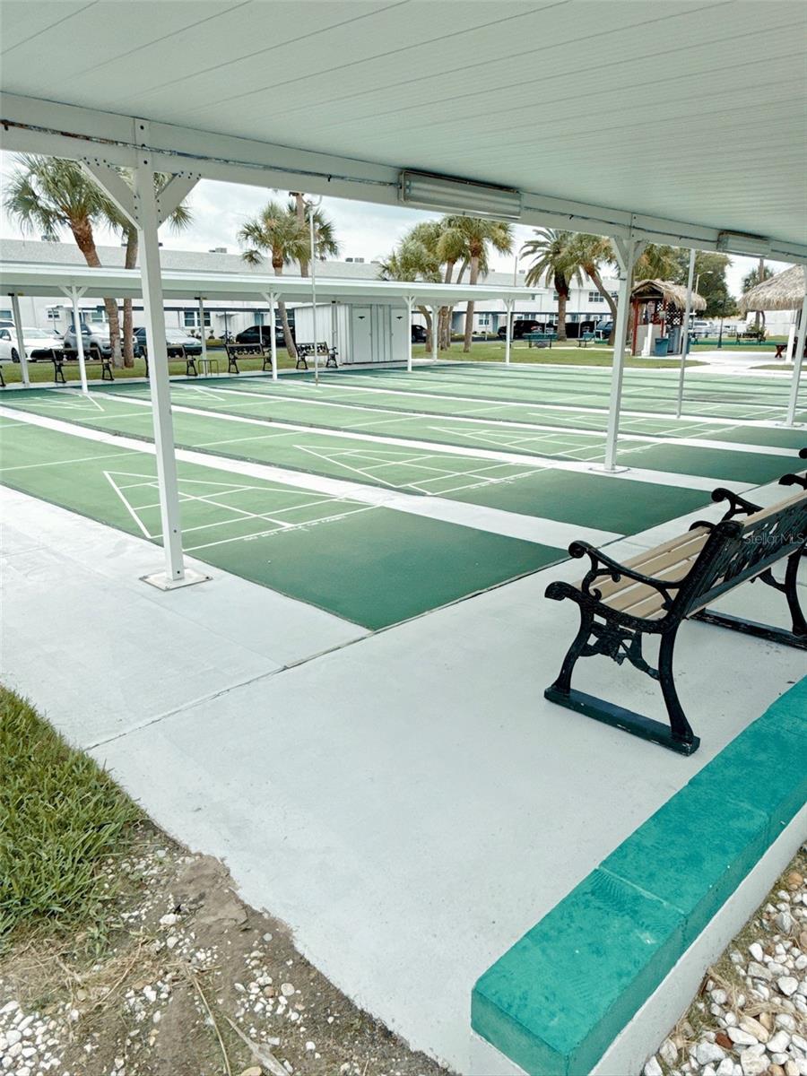 Community shuffleboard
