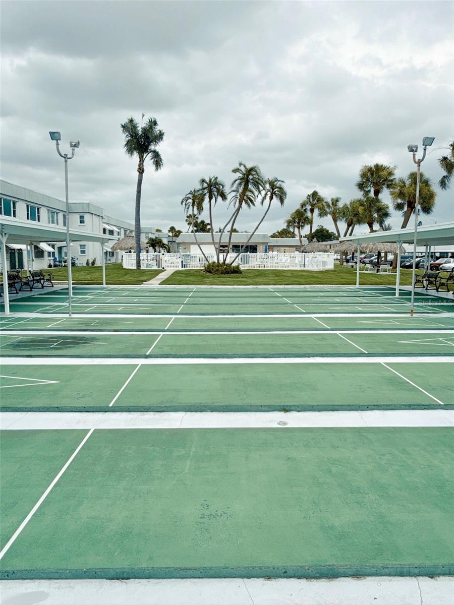 Community shuffleboard