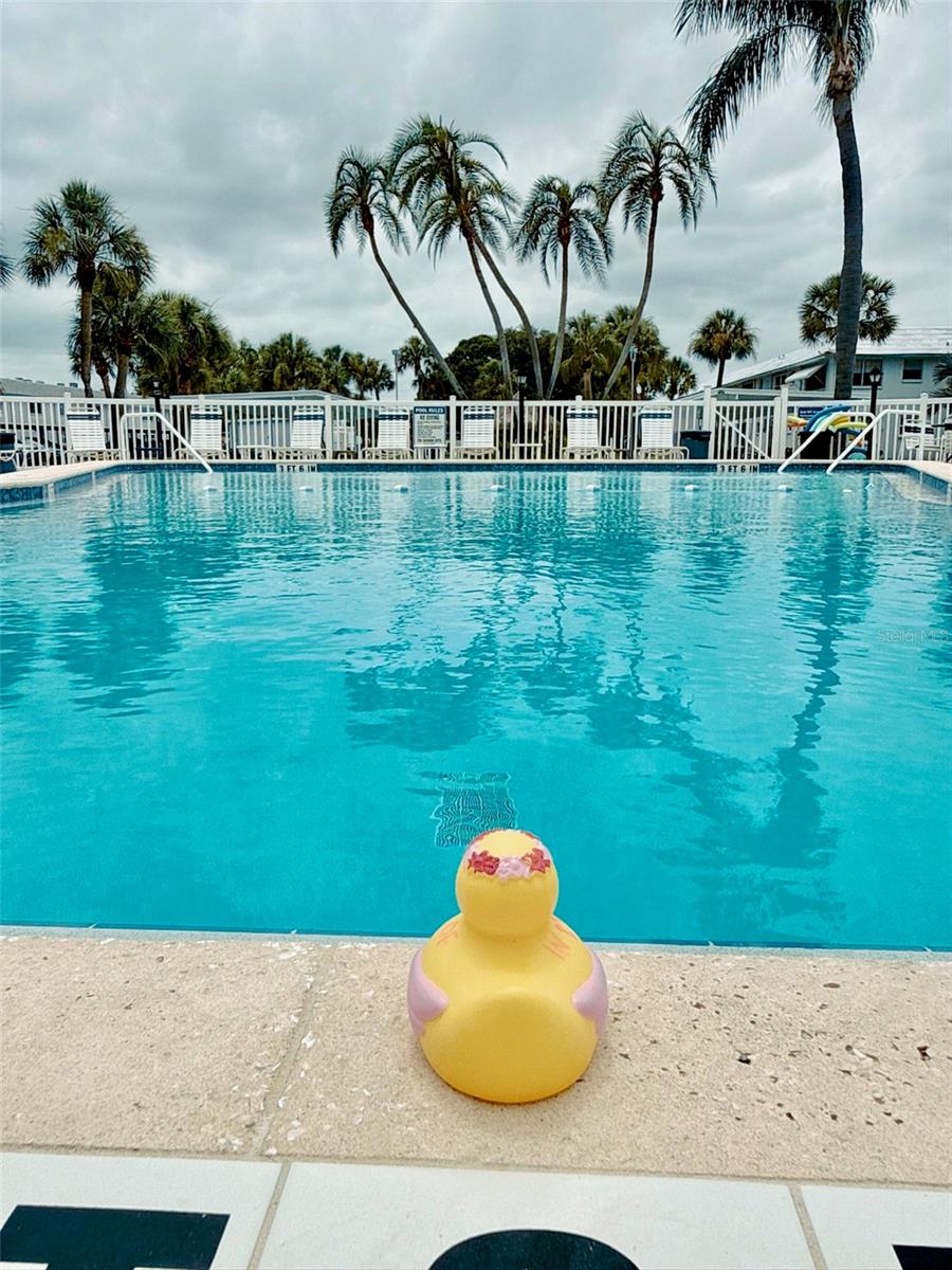 Community pool