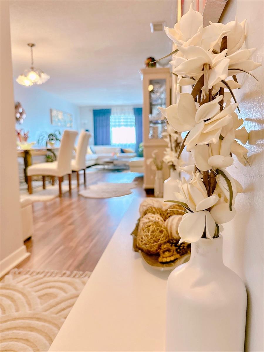 Entry way hall