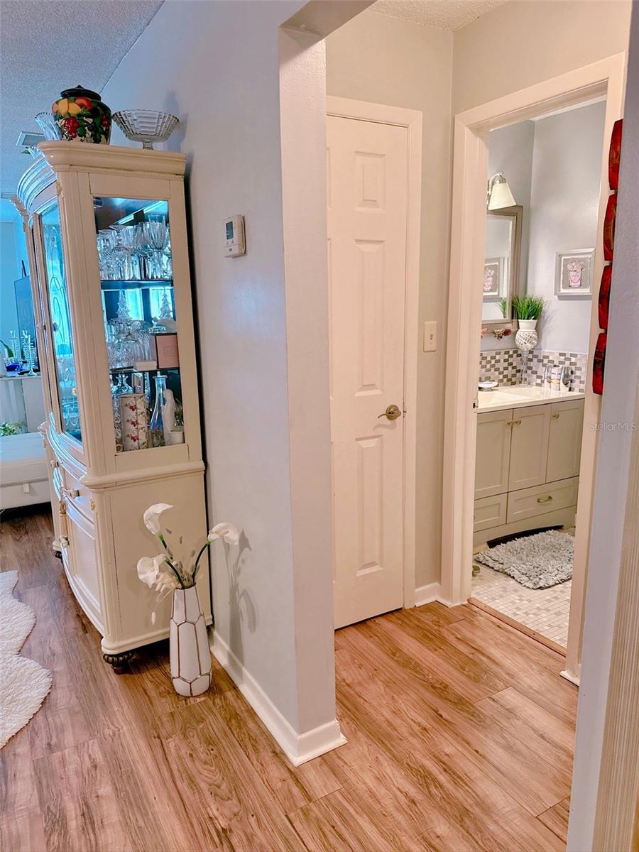Bathroom entry way (outside of bedroom)
