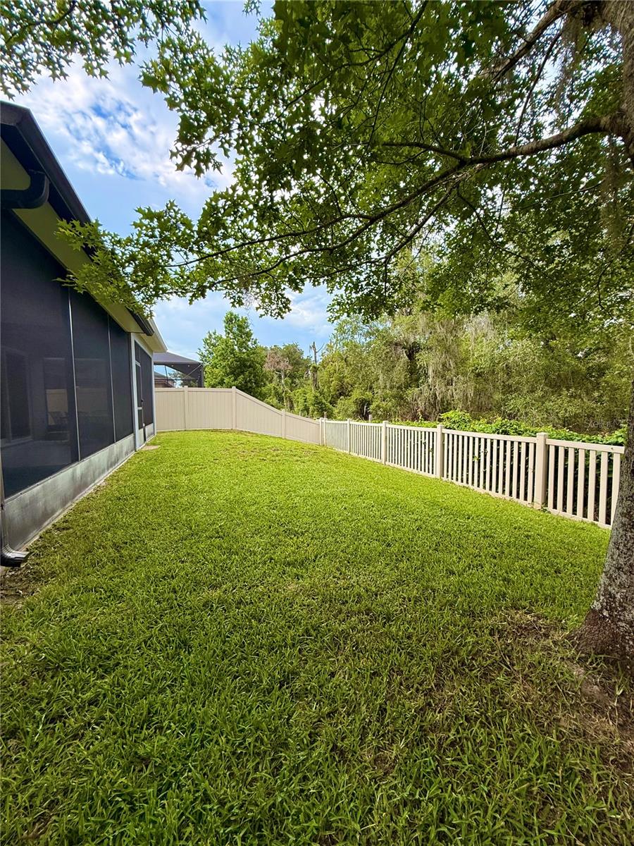 Fenced-in backyard