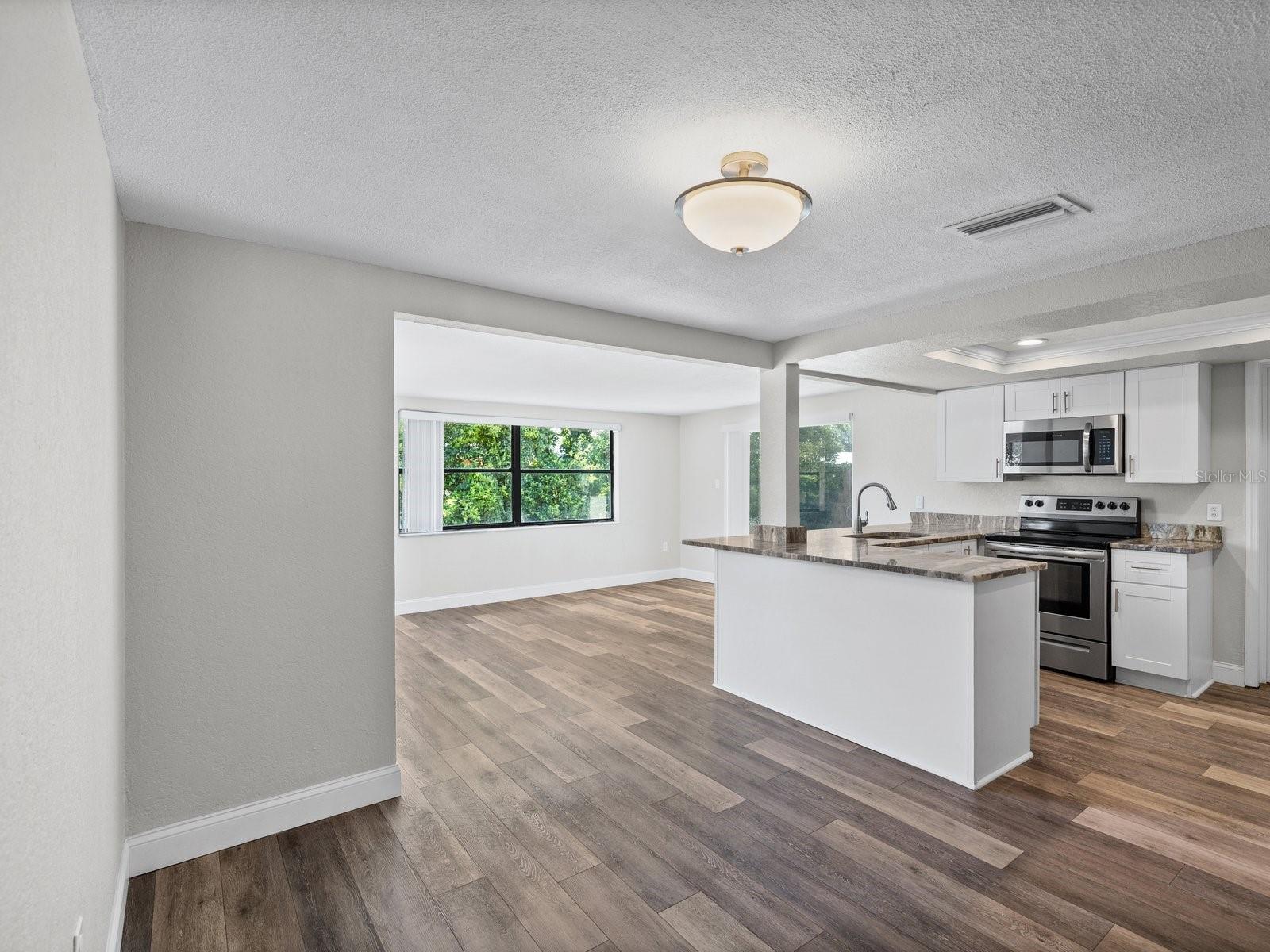 Dining Room and Kitchen Combo
