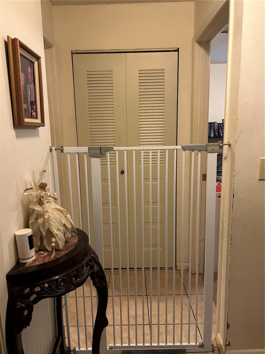 Hall with kitty door and AC closet