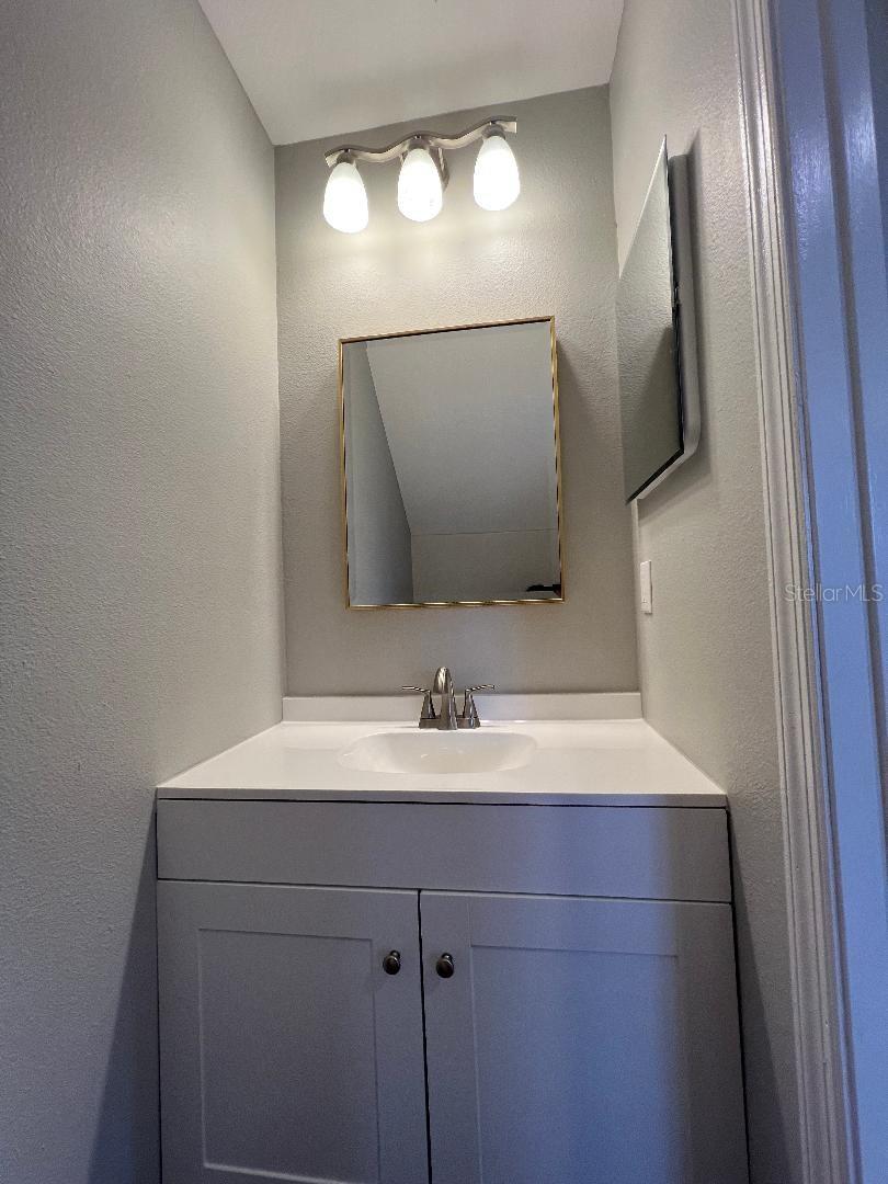 Downstairs guest bath.