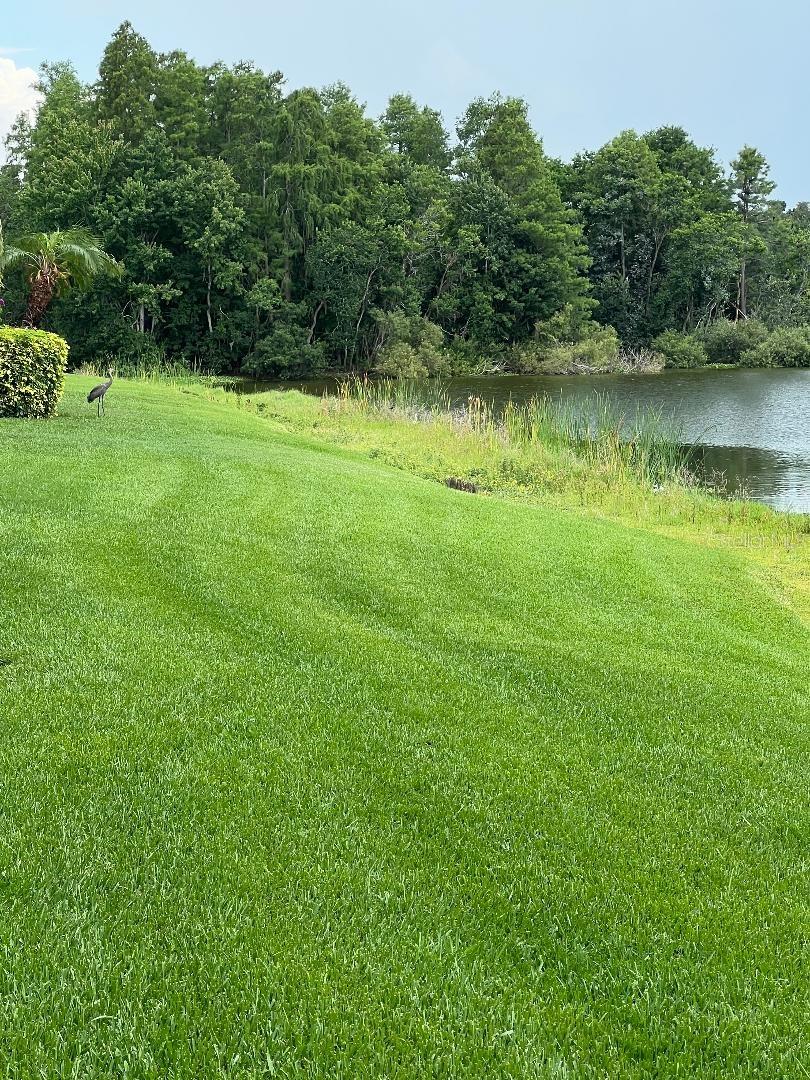 A look from back of the house to the left.