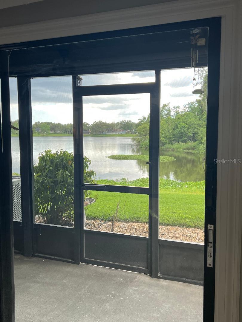 View from family room.