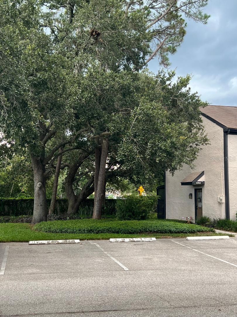 There is one assigned parking spot in front of the house and 1 guest spot next to it. There are also 4 guest spots right across the parking lot.