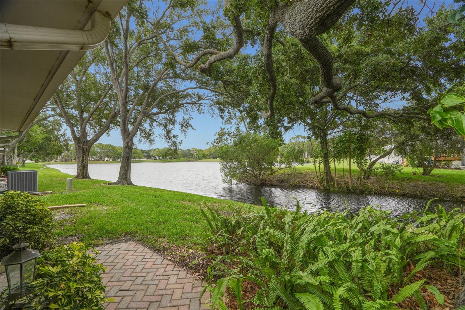 Back patio with lake views