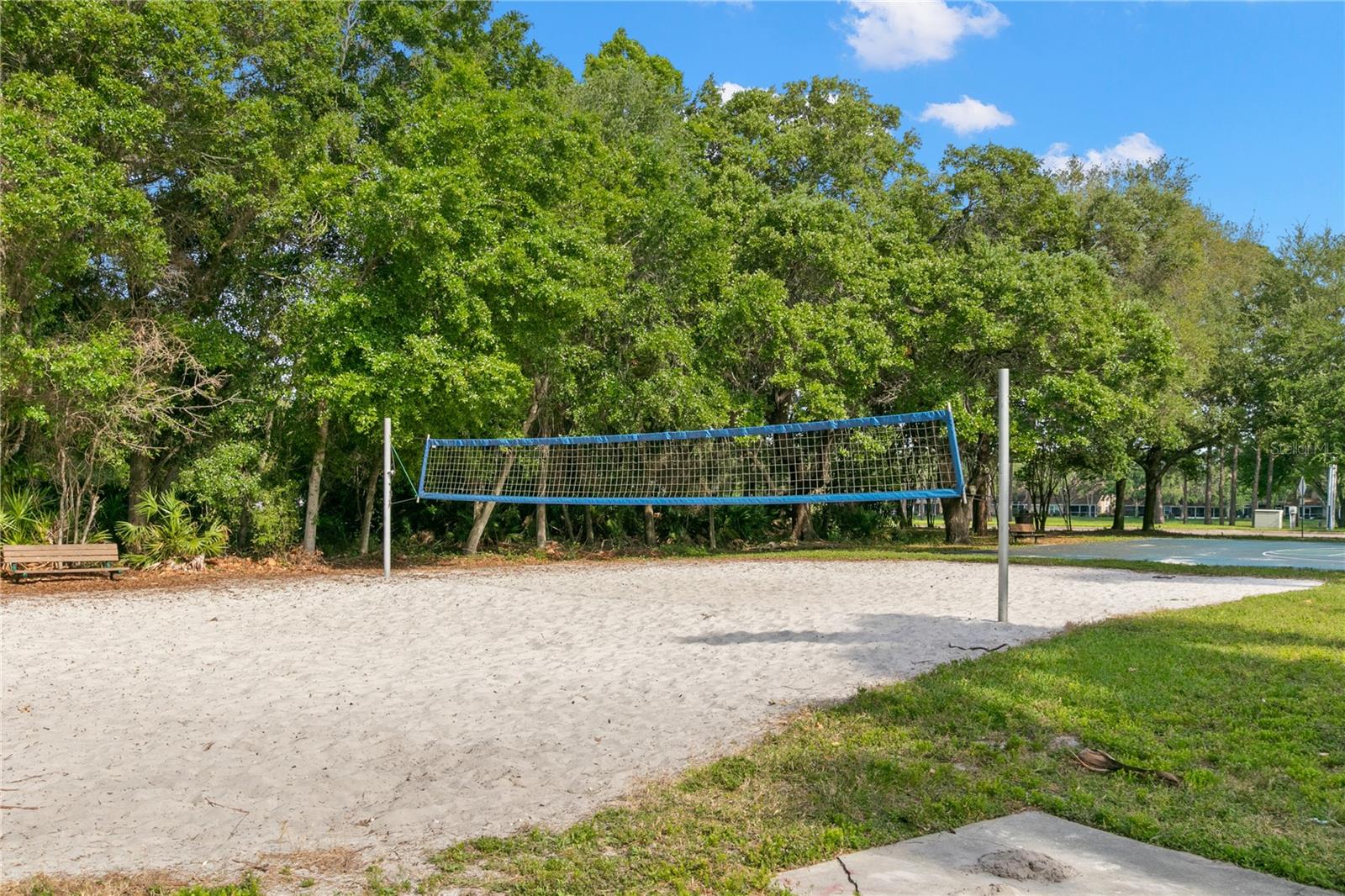 Volleyball across the street at the park