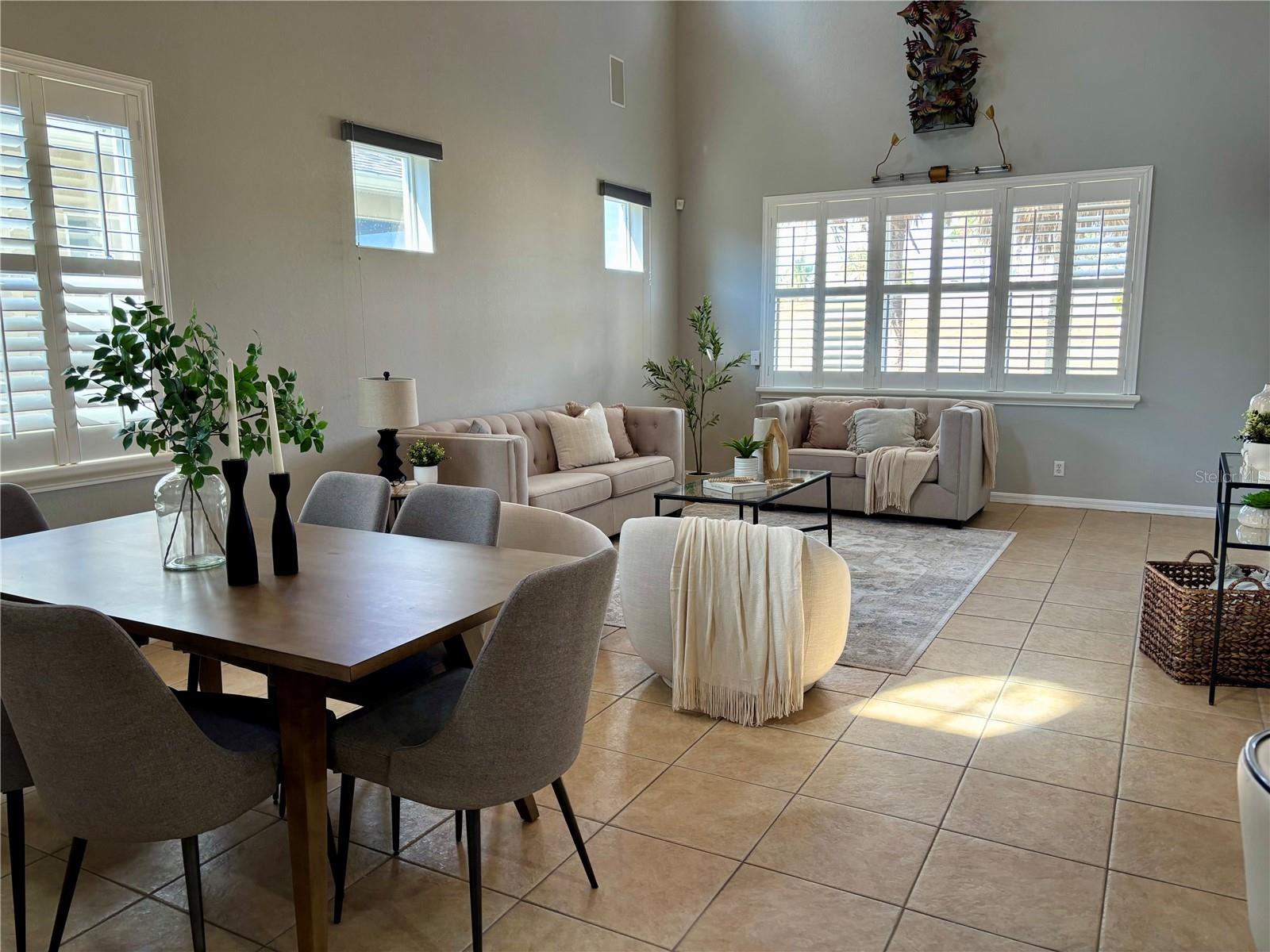 Living/dining area