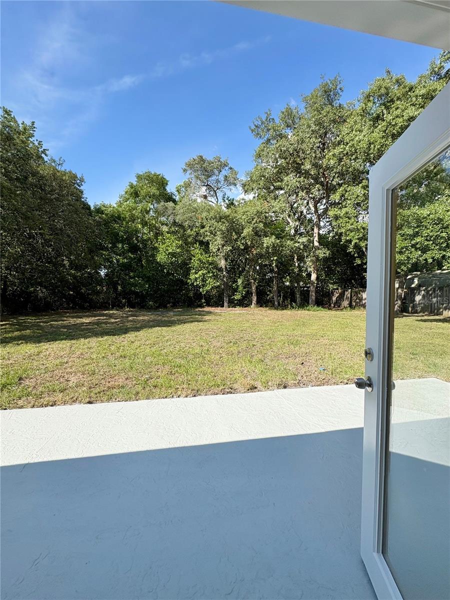 Back Yard