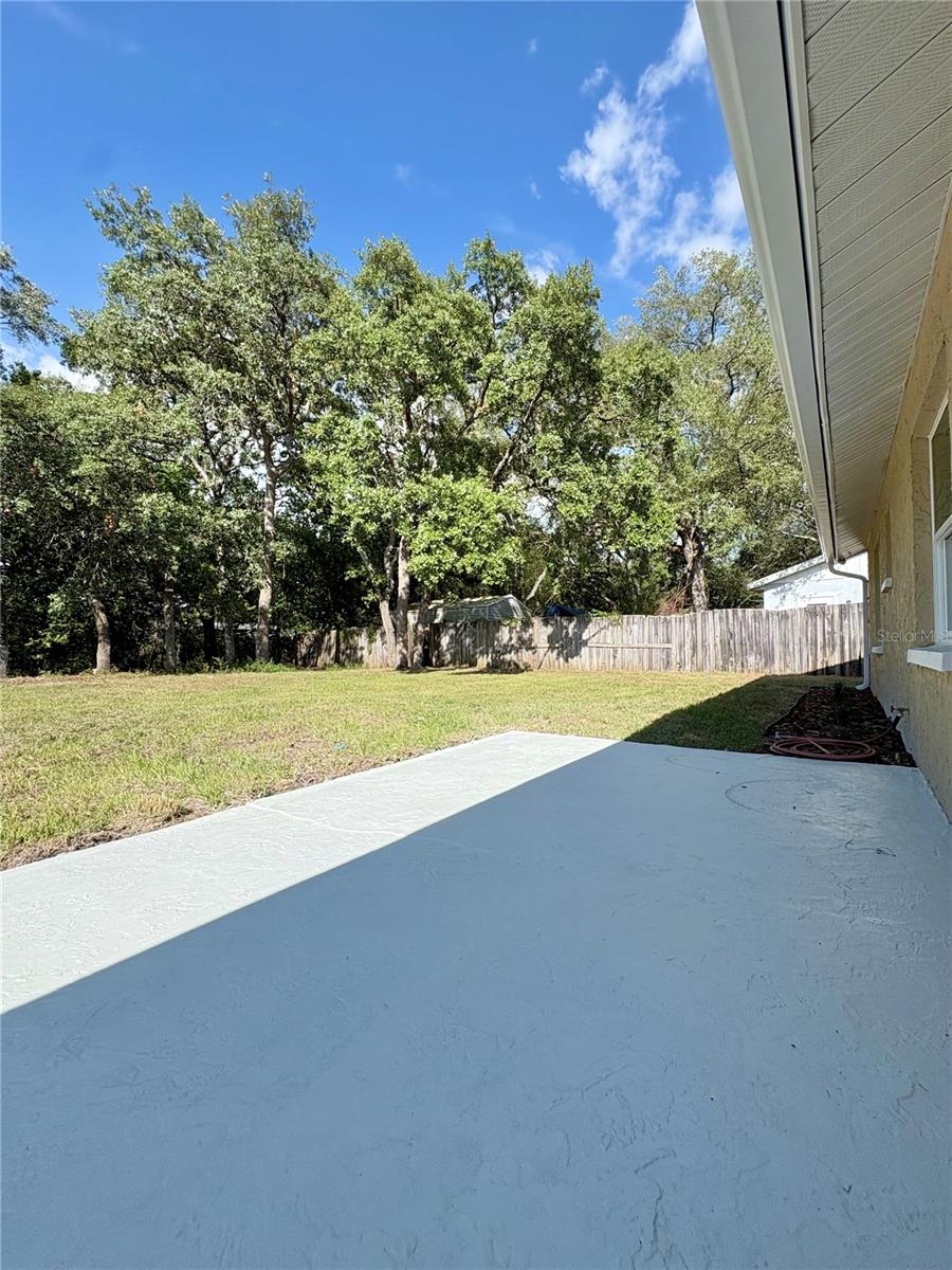 Back Yard
