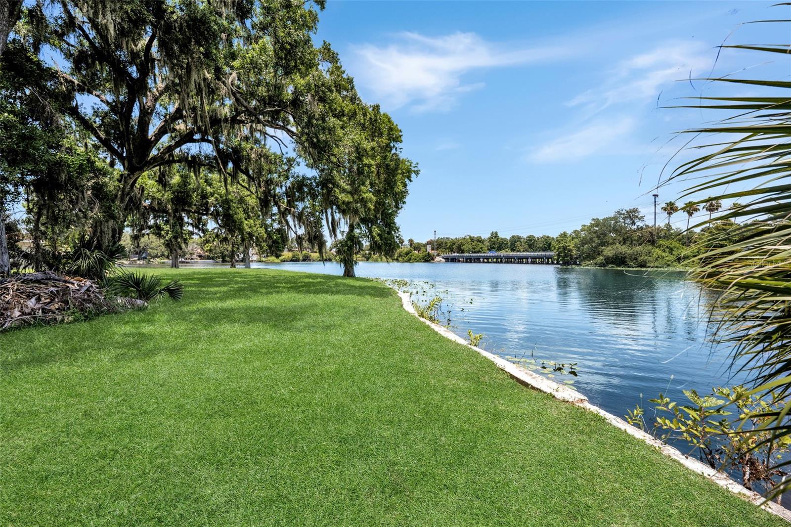 Waterfront from across the street on the Hillsborough River