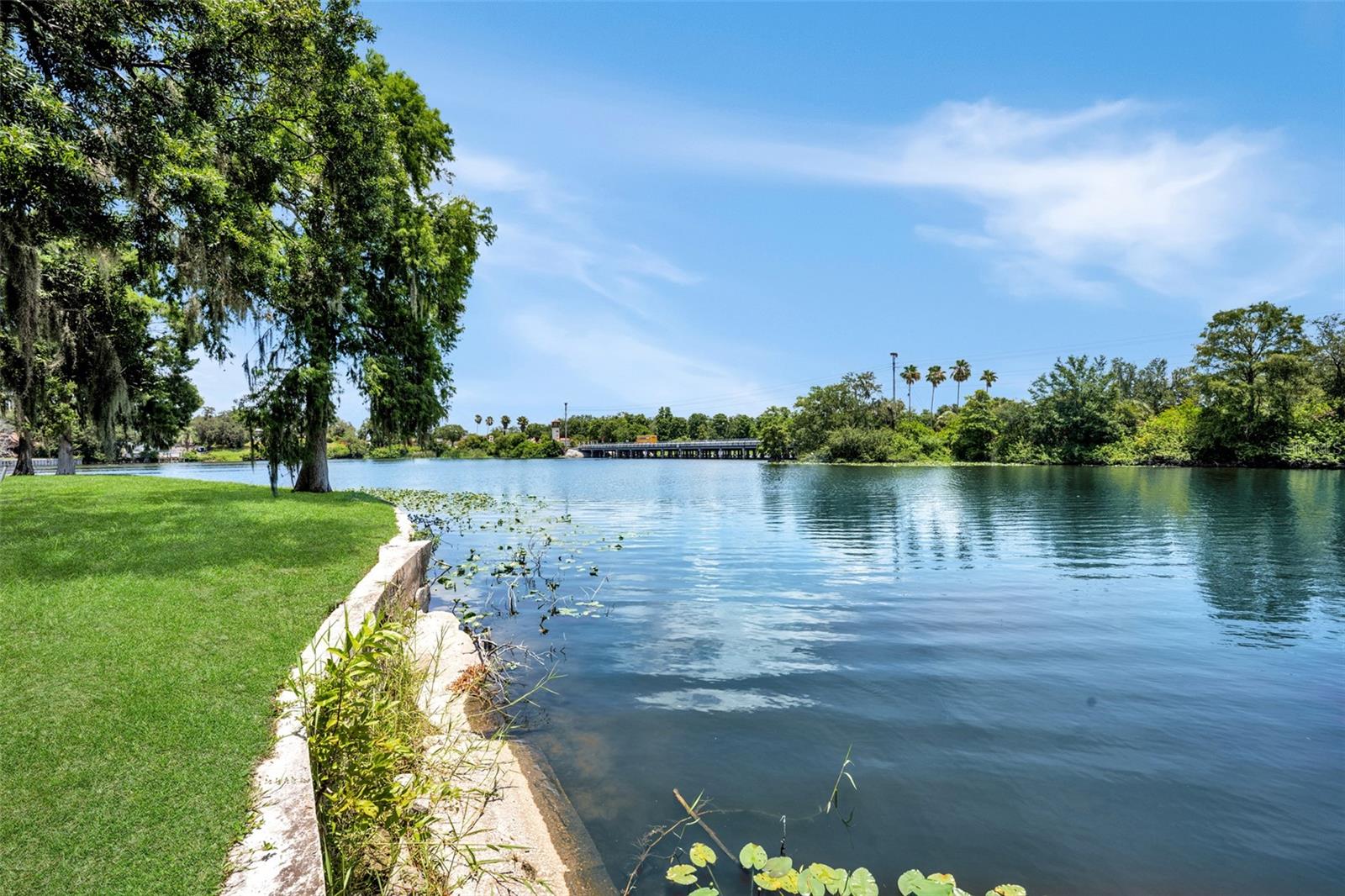 Hillsborough River waterfront