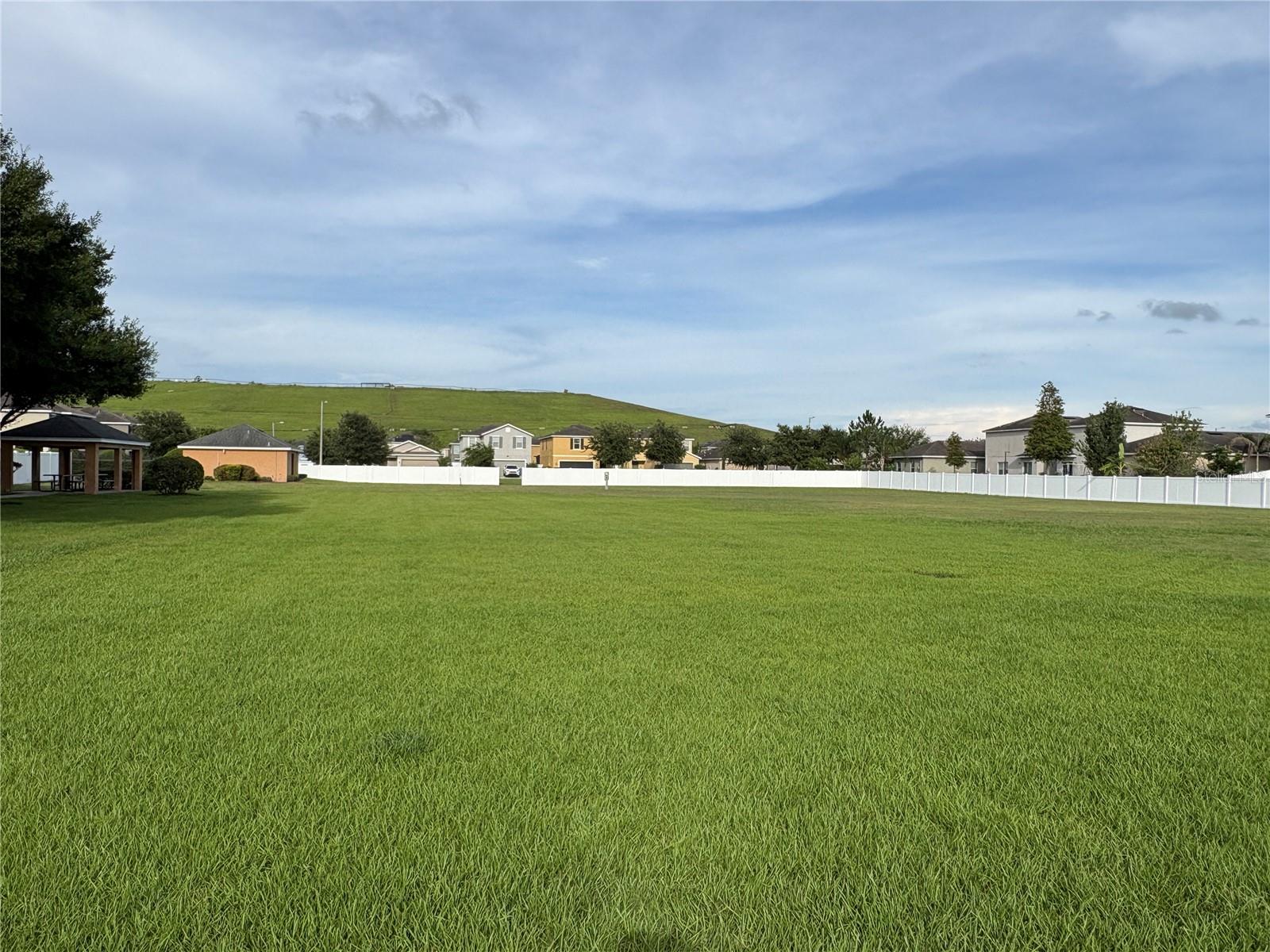 LARGE OPEN FIELD