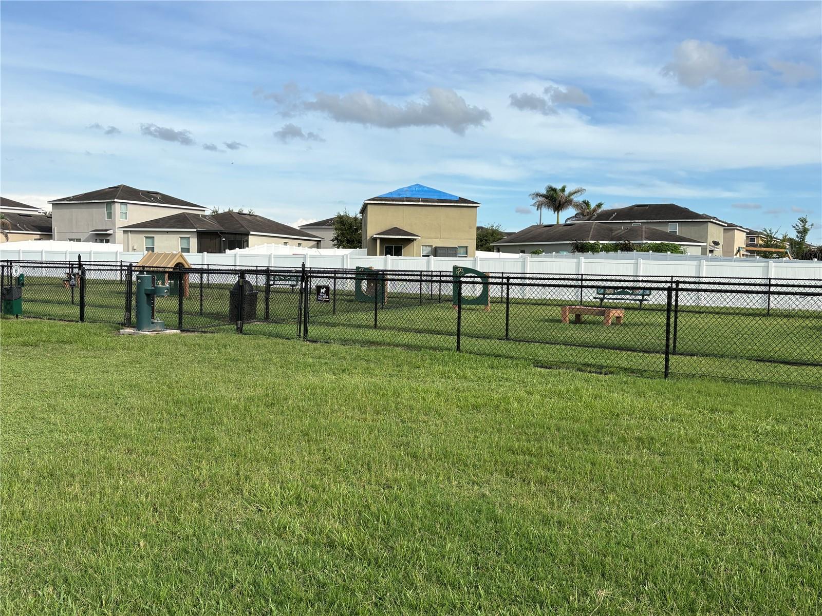 DOG PARK