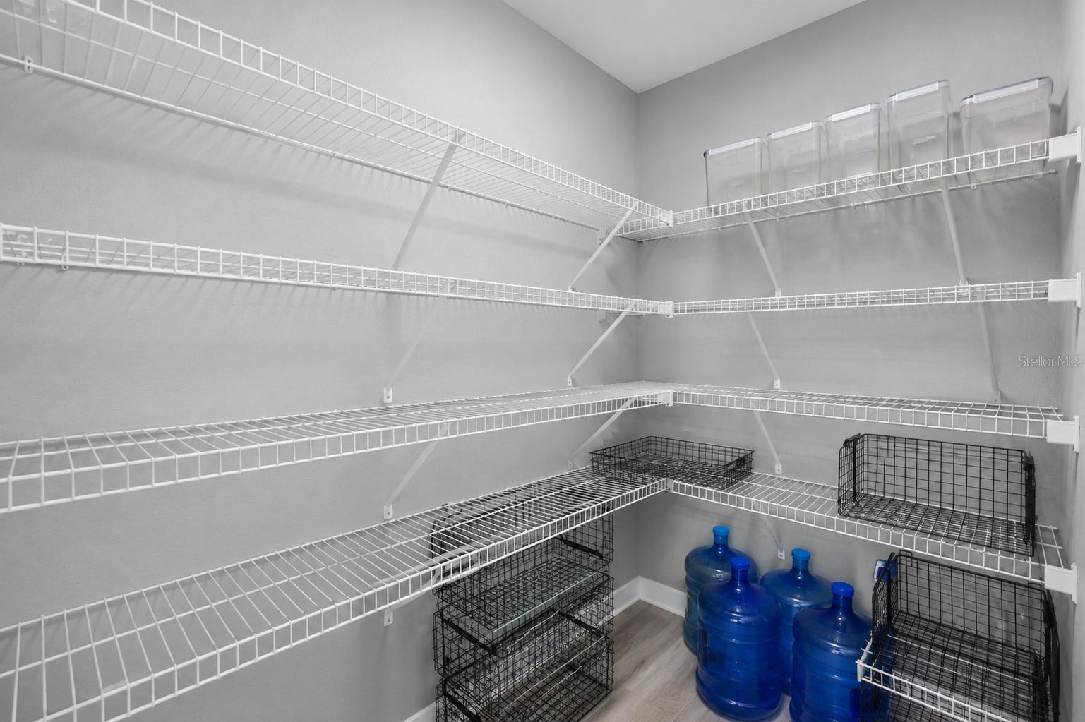Large walk-in pantry providing exceptional storage and organization space for everyday living. (virtually removed food to showcase size).