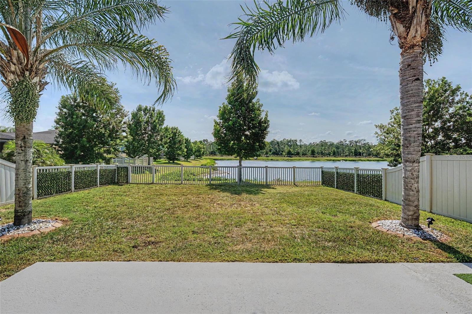 View from patio of yard and pond