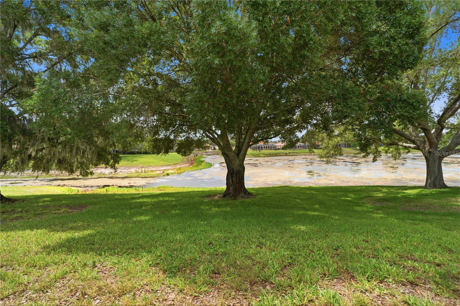 back yard by lake