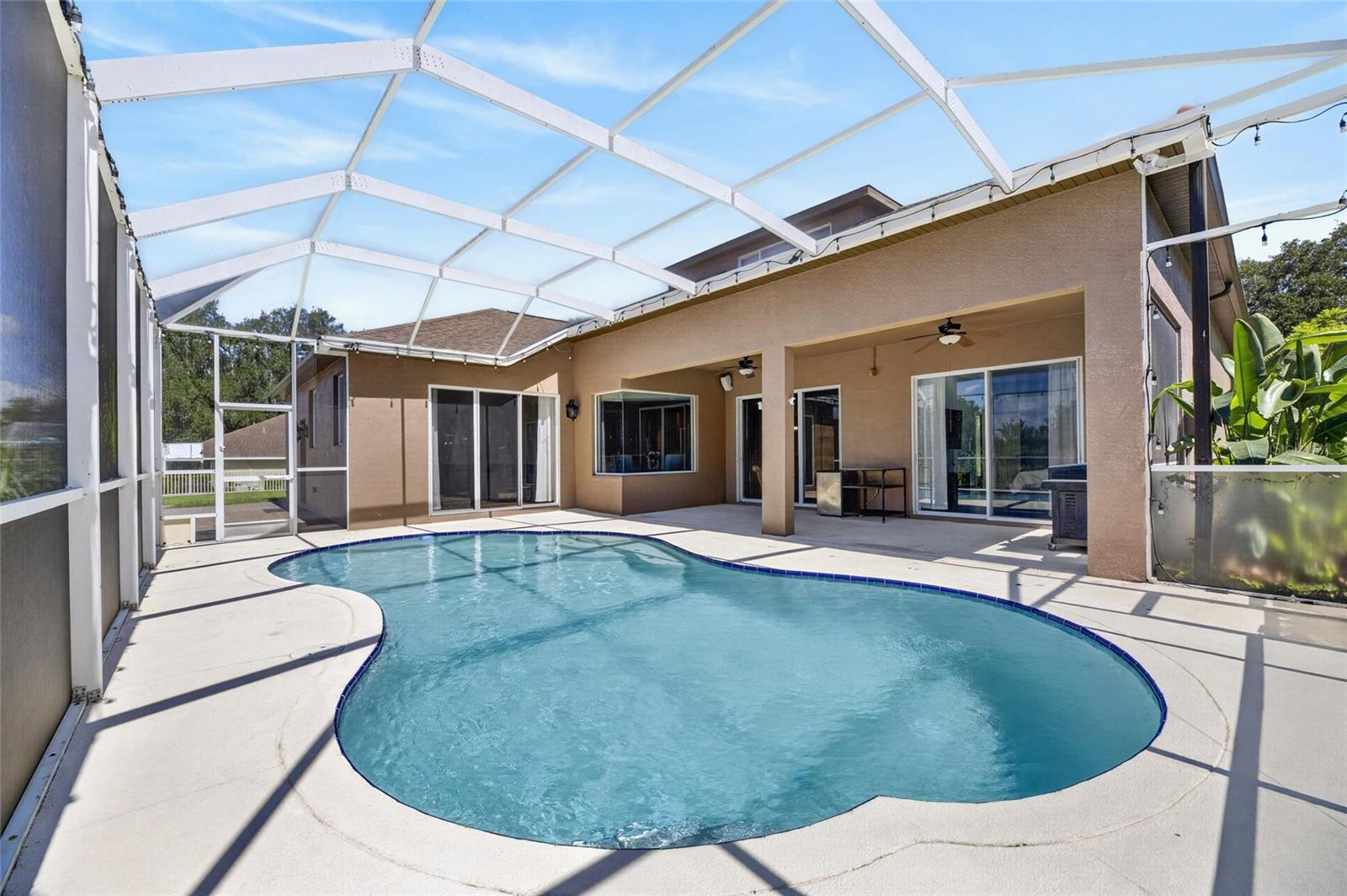 Pool/Rear View