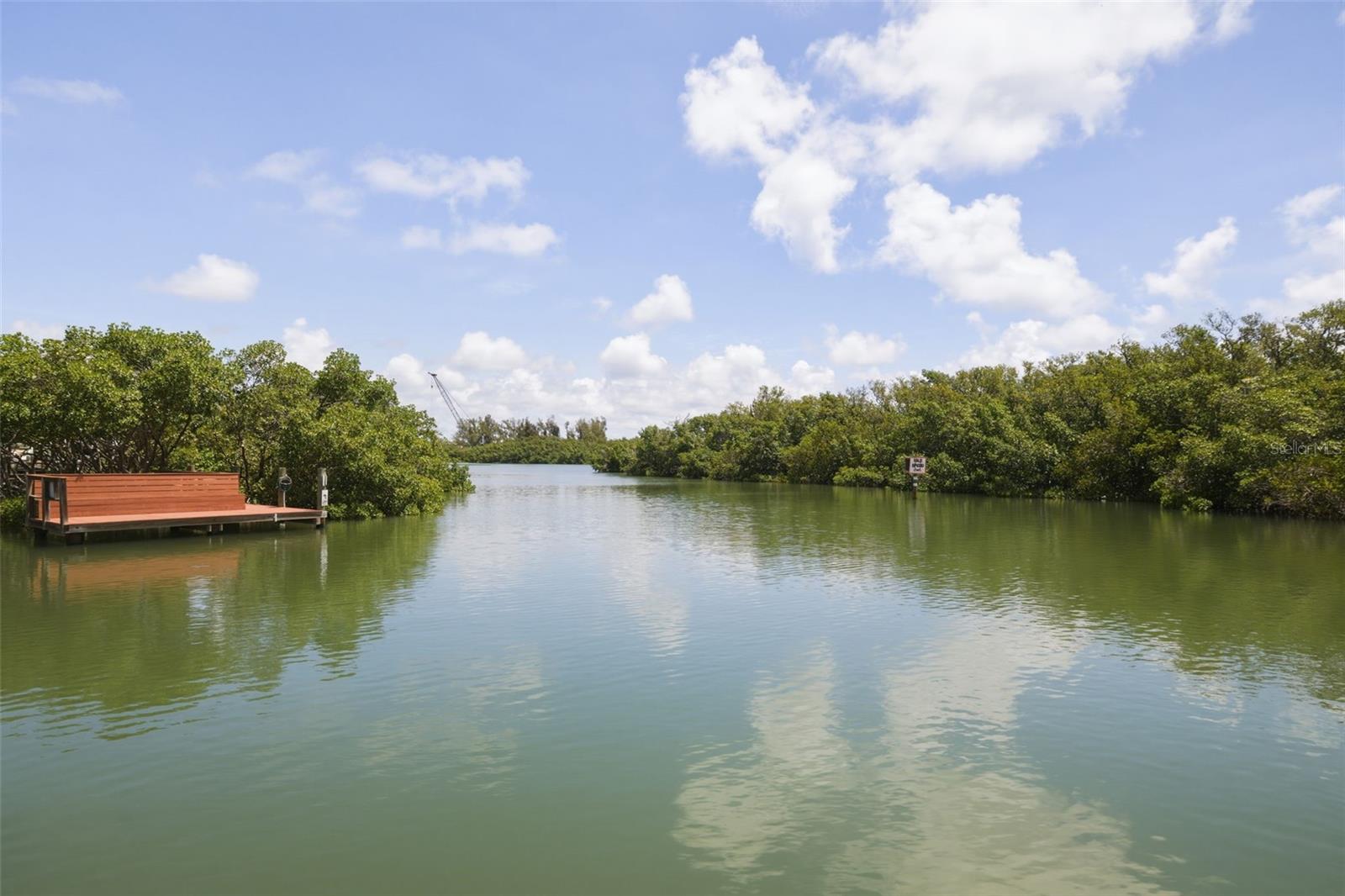 TB8519556