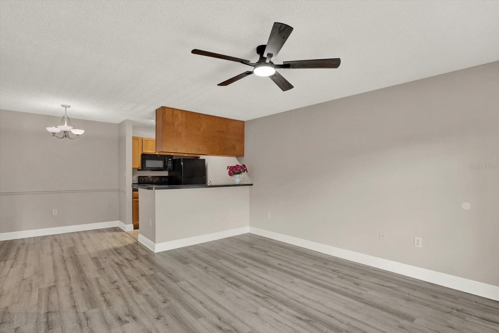 Living Room/Kitchen