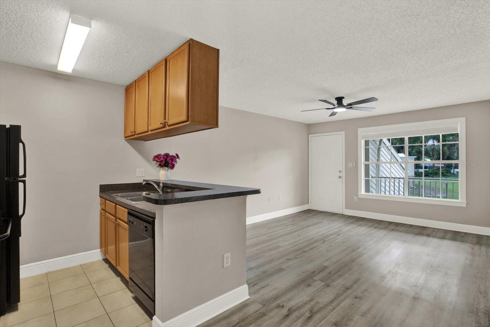 Kitchen/Living Room