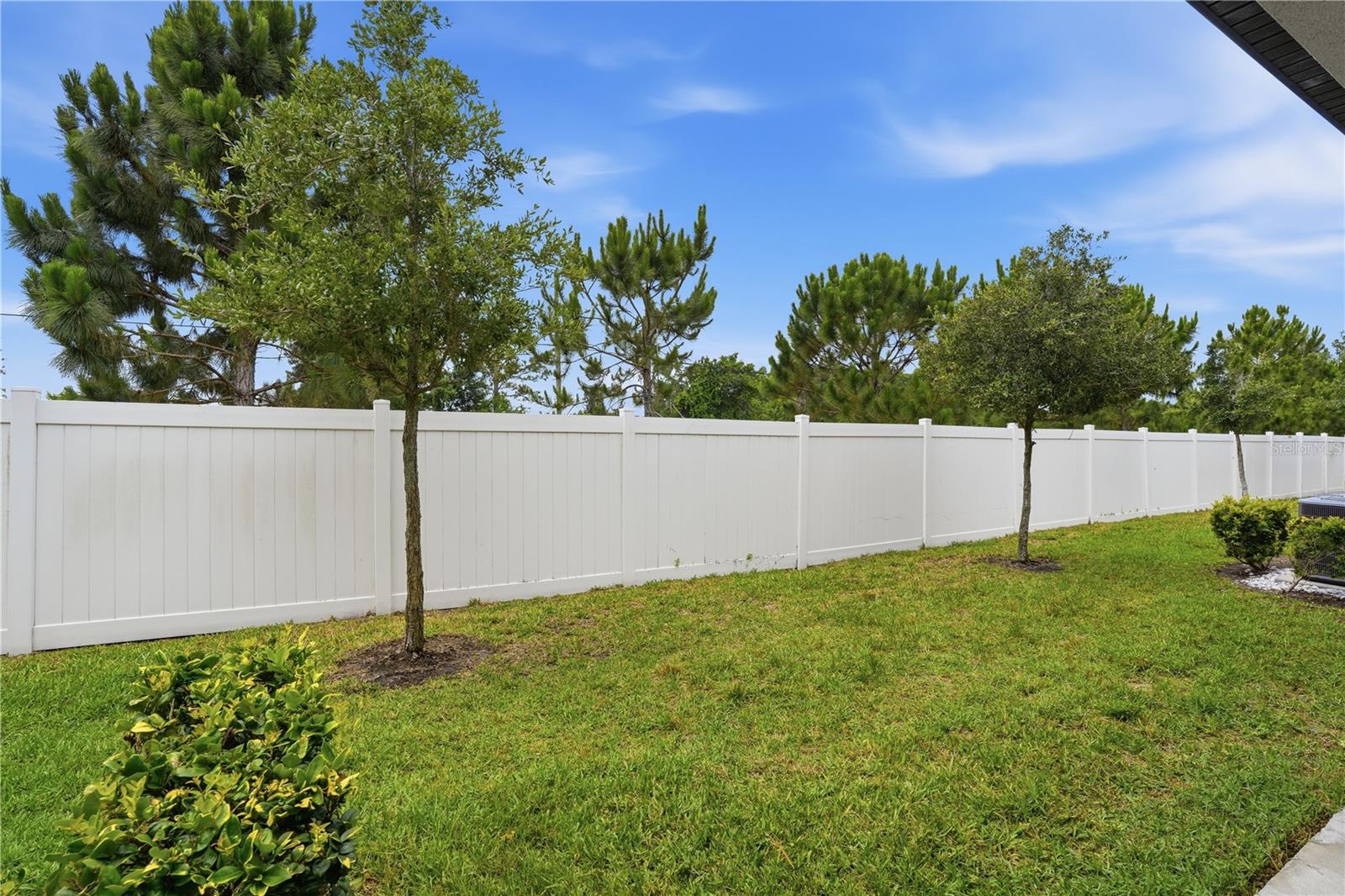 Backyard View