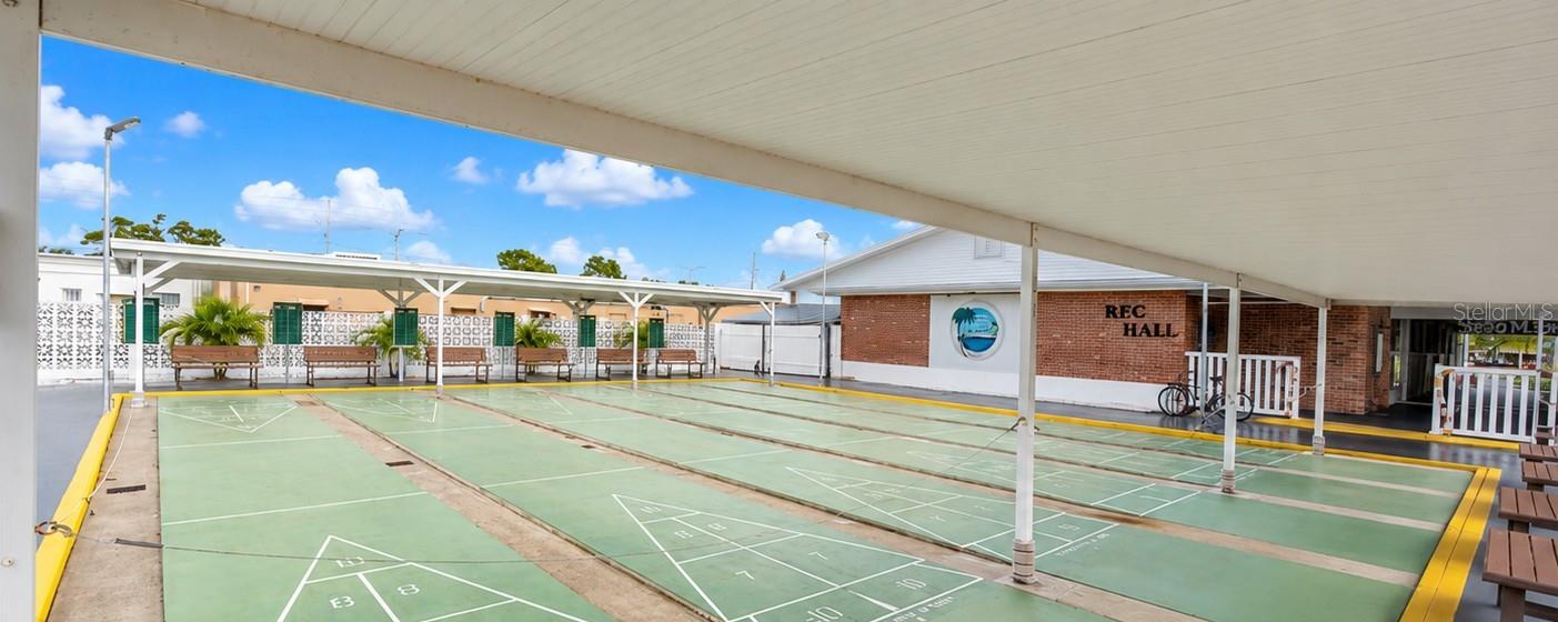 Shuffleboard