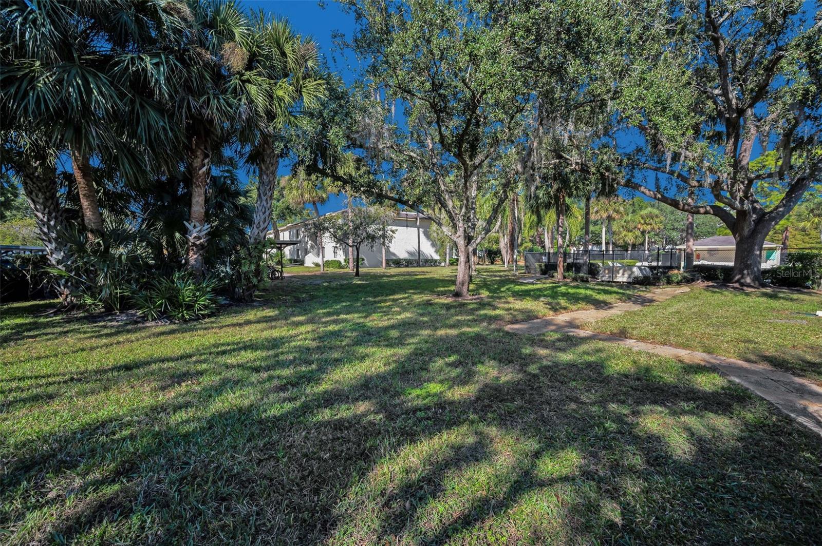 Rear Greenspace