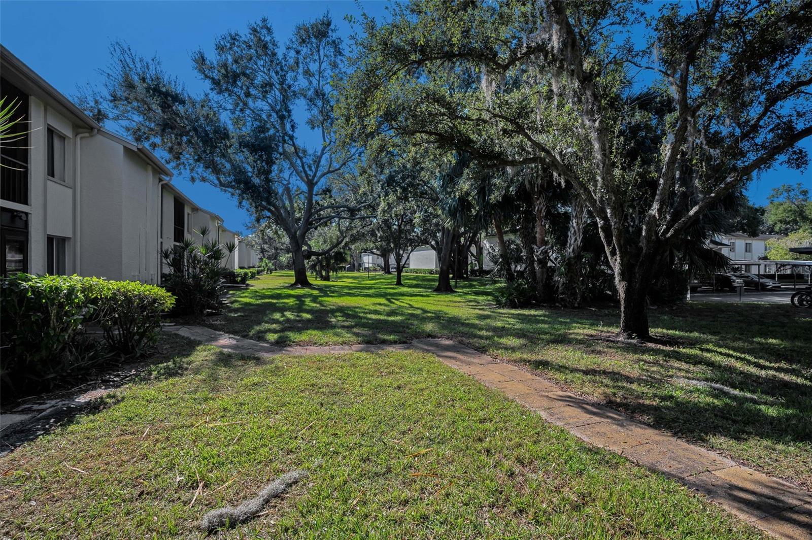 Rear Greenspace