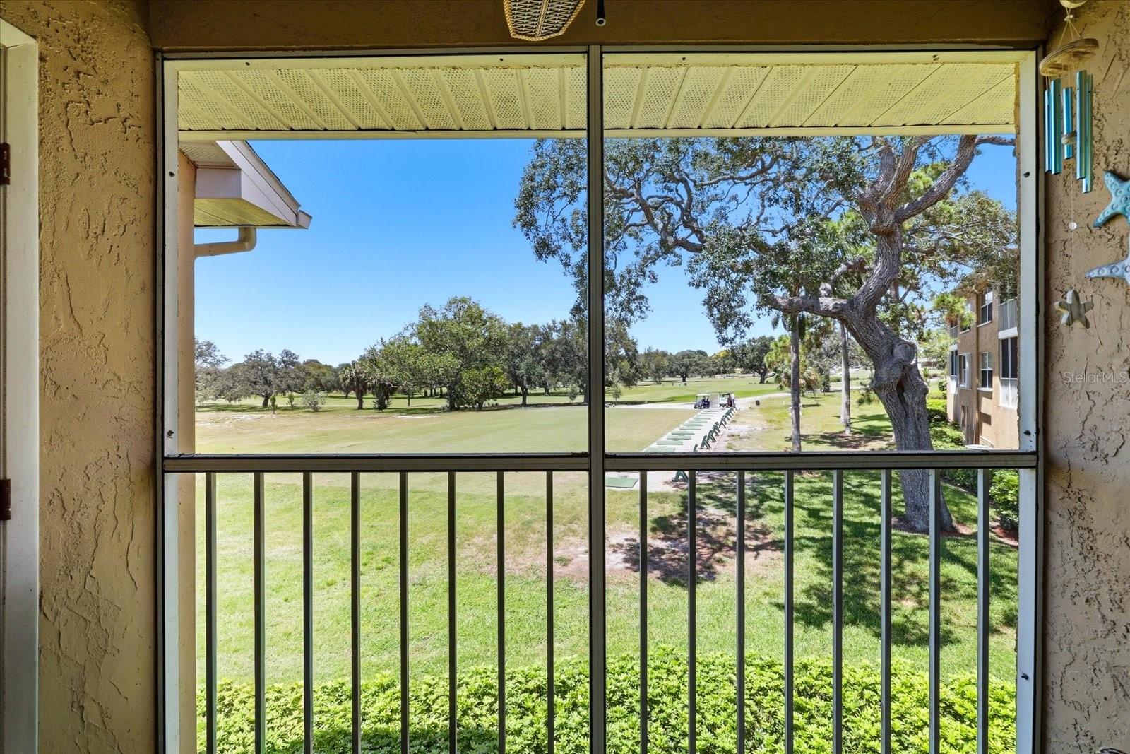 View from screened patio with storage closet. 2026 Hurricane rated slider door.
