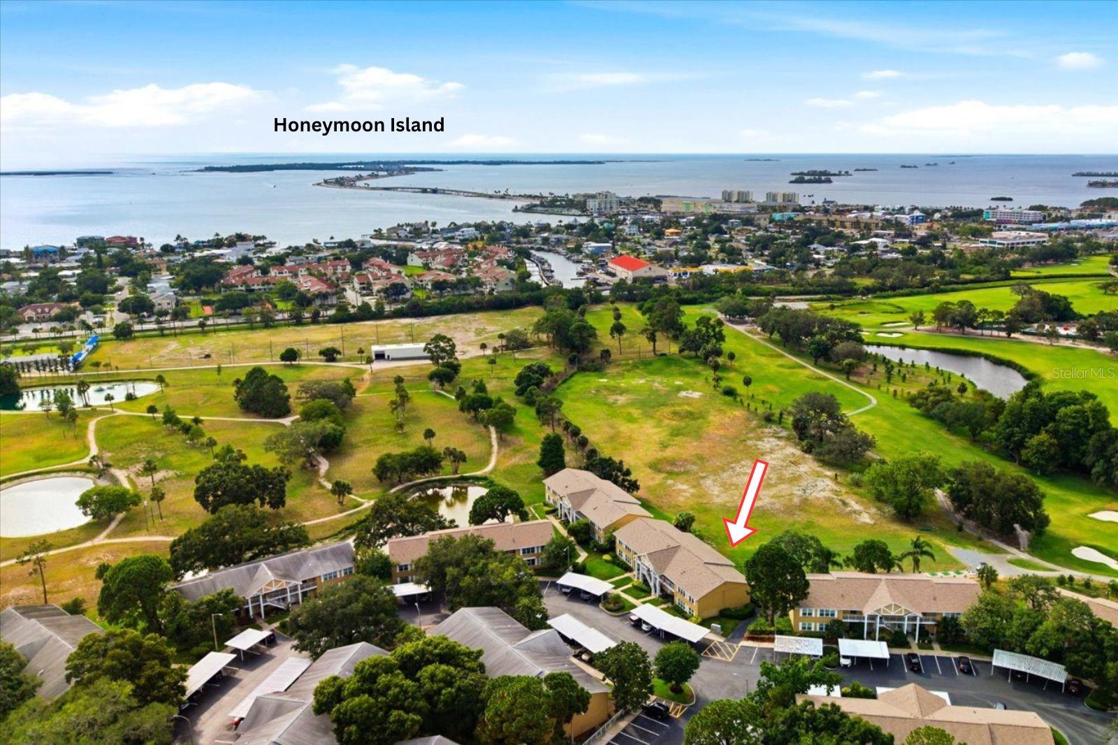 This NO FLOOD ZONE condo is located 4 miles from Honeymoon Island State Park/Beach & Caladesi Island.