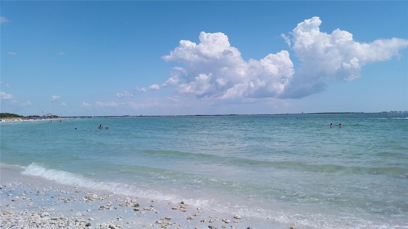 Honeymoon Island beach just a few miles away