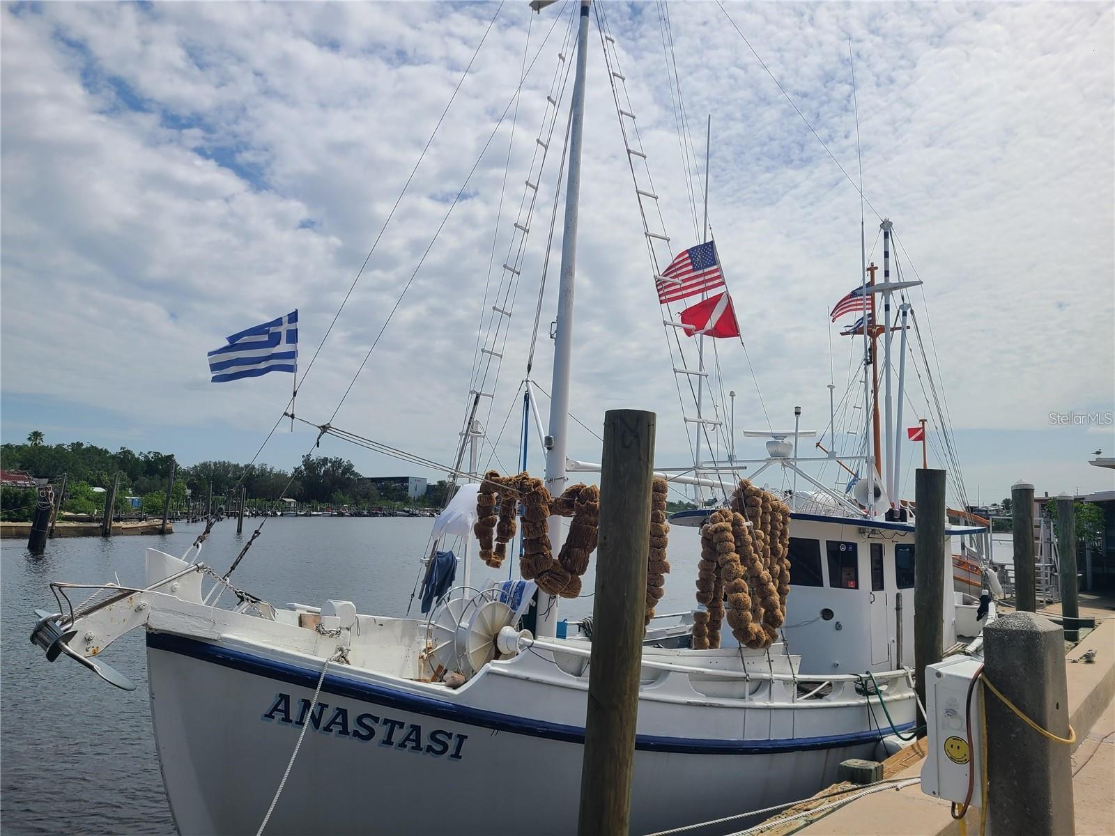 Tarpon Springs Sponge docks only a few miles away