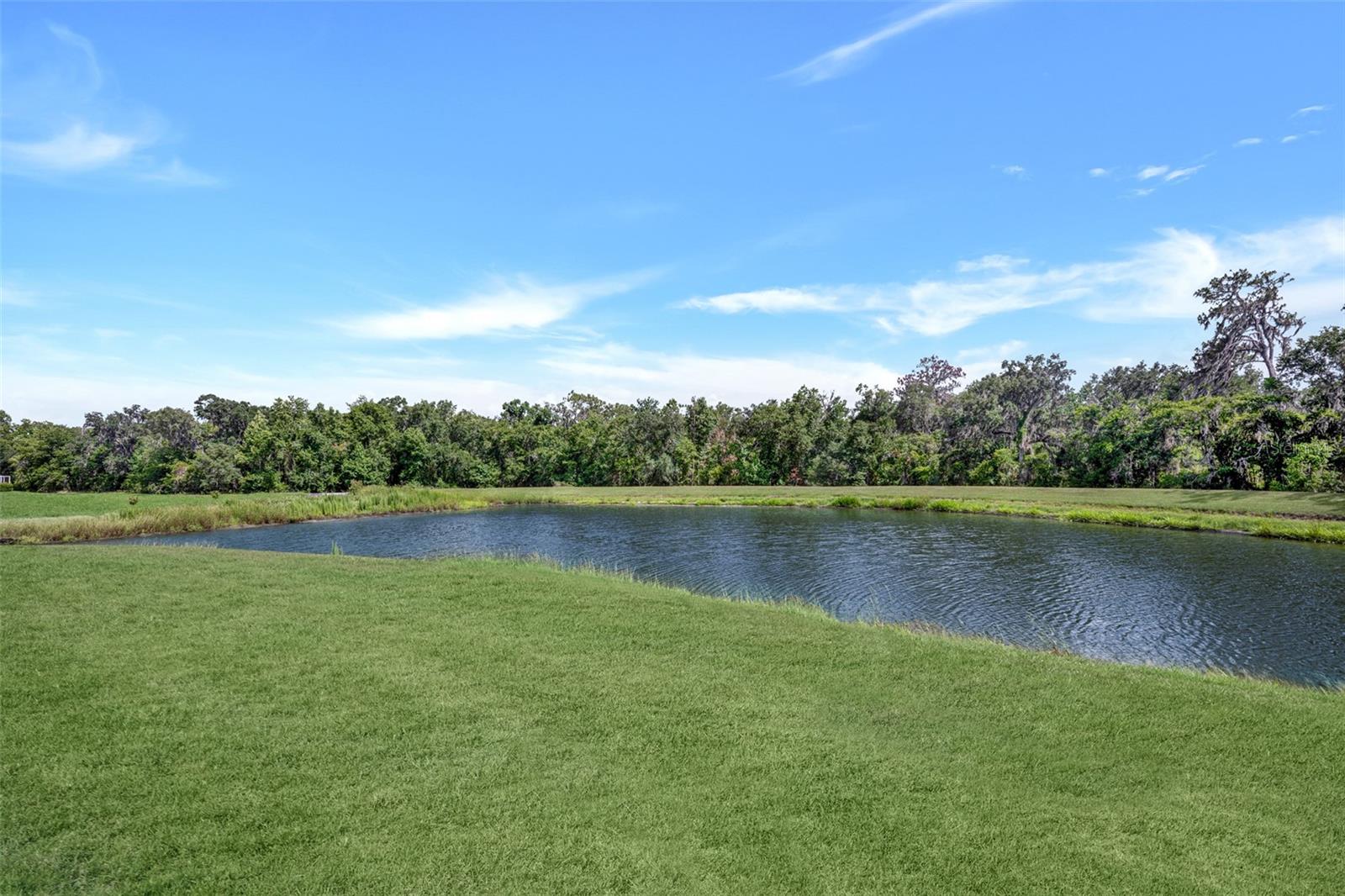 Waterfront and conservation view