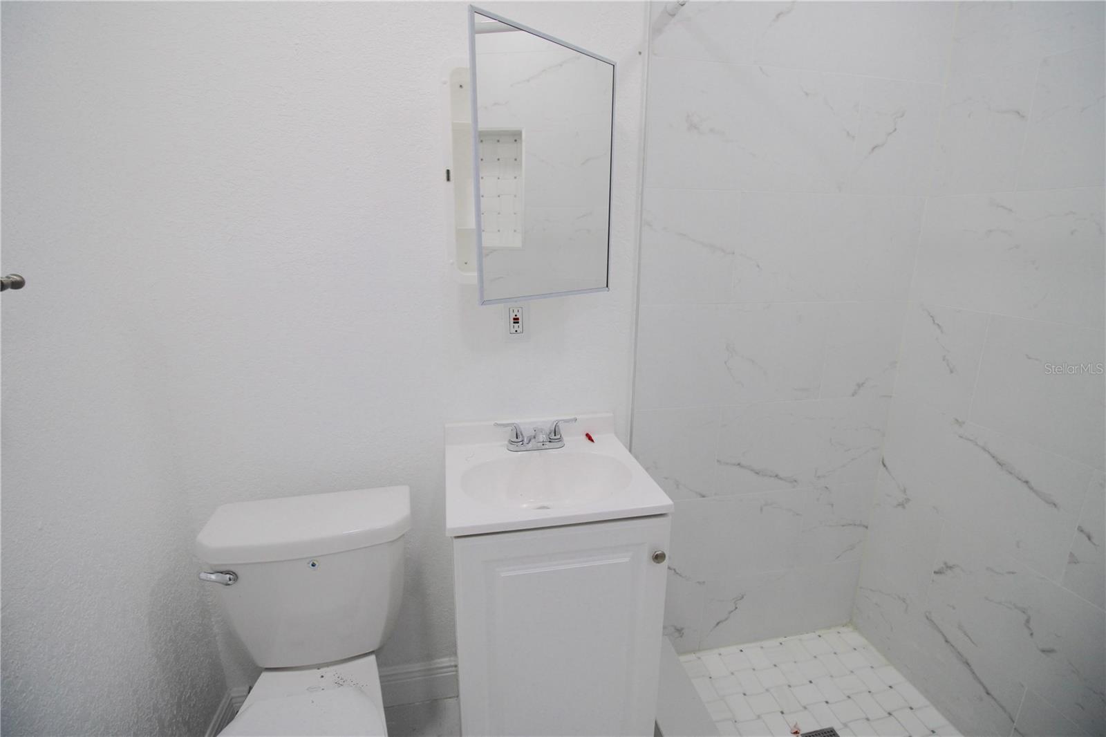 In-law suite bathroom