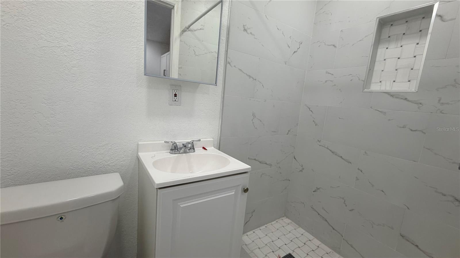 In-law suite bathroom