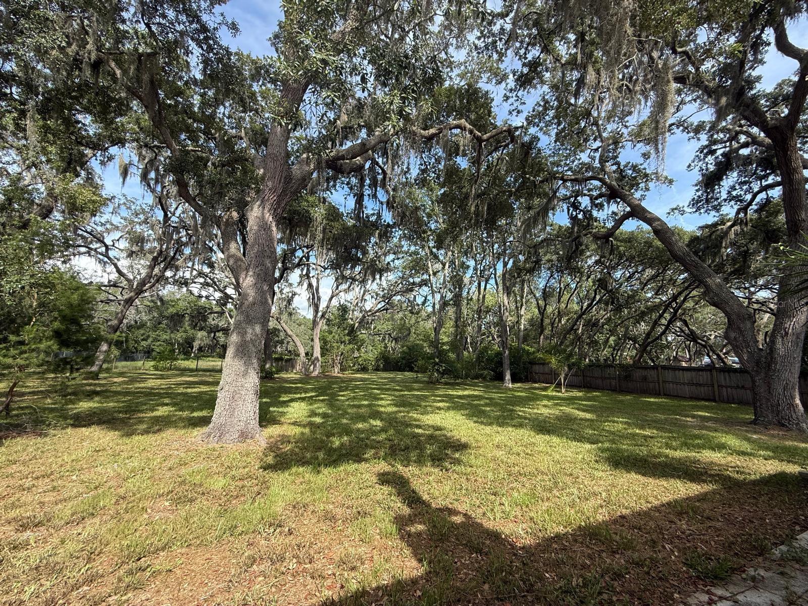 W7886766