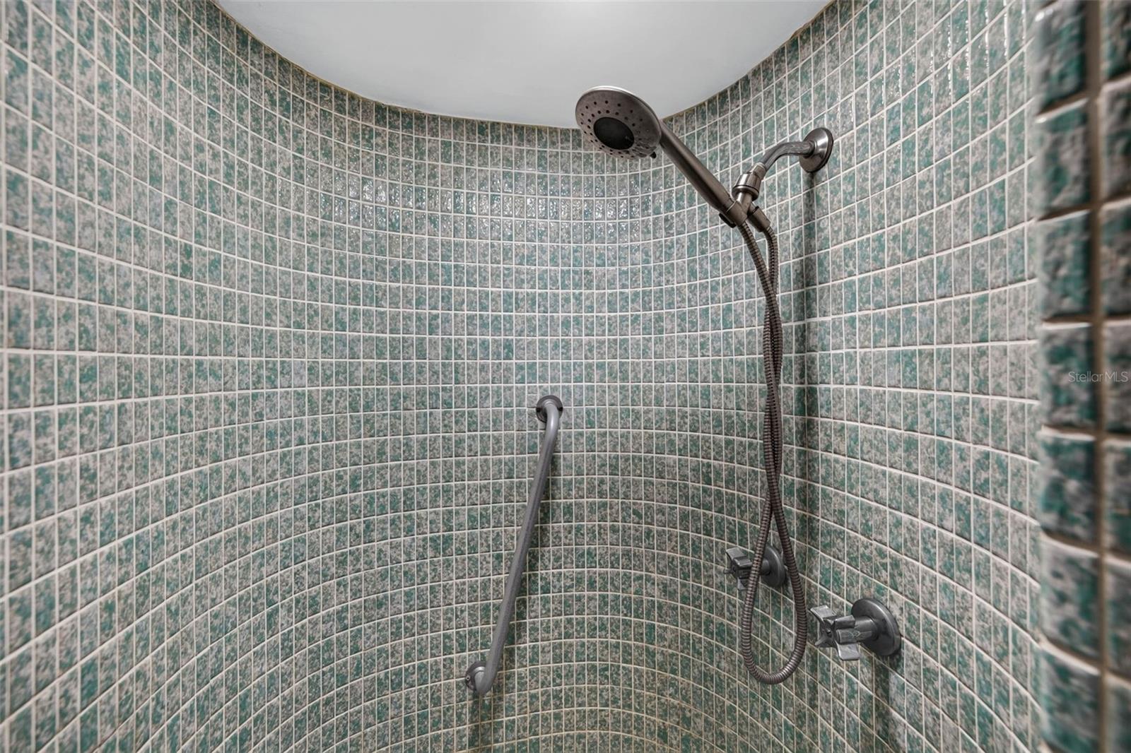Primary walk-in shower