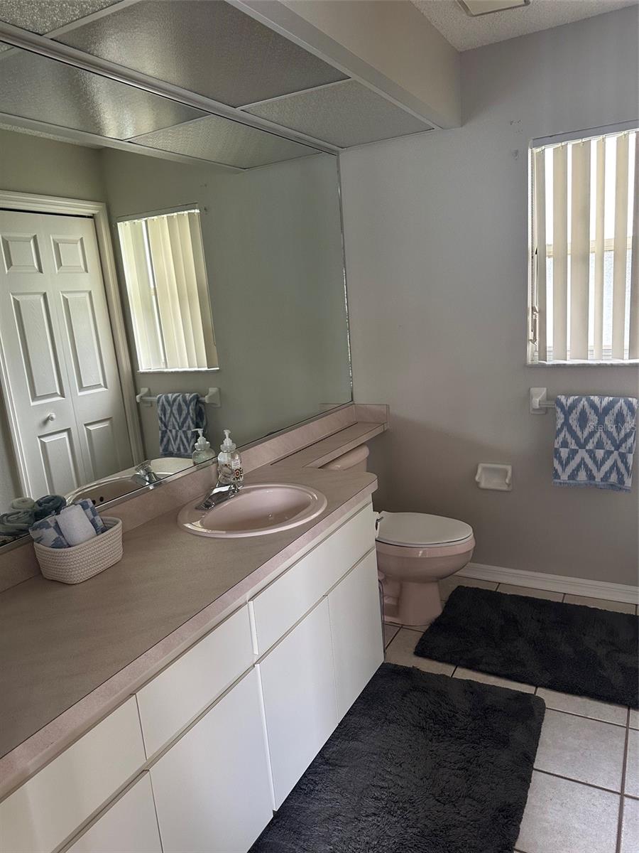 Large Sink Vanity