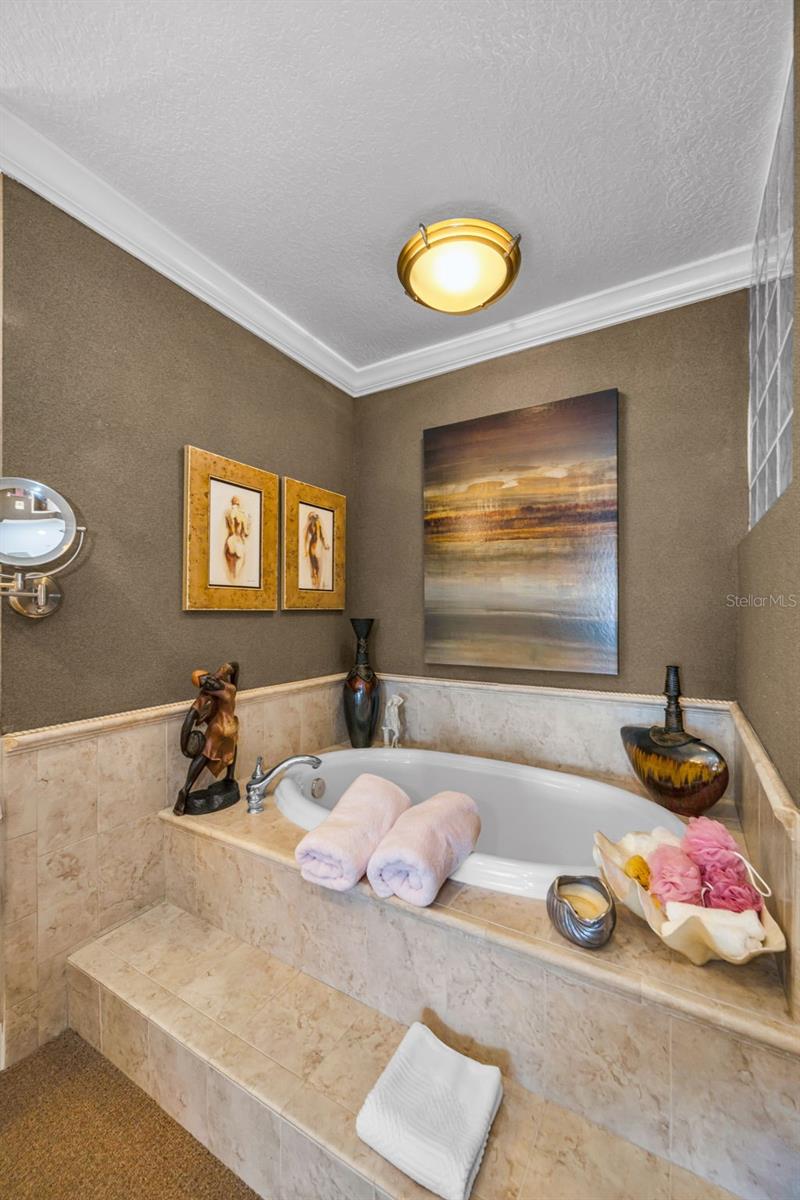 Jacuzzi Tub
