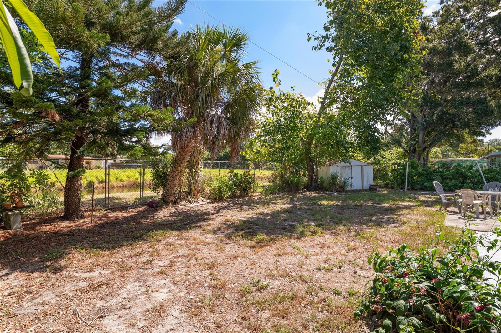 Backyard