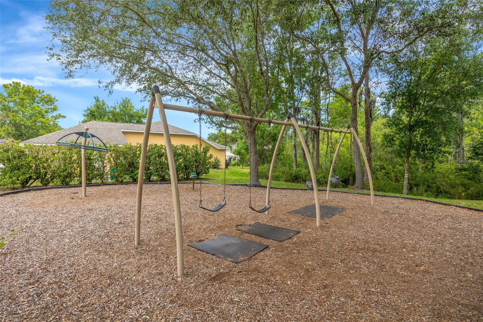 Community Playground
