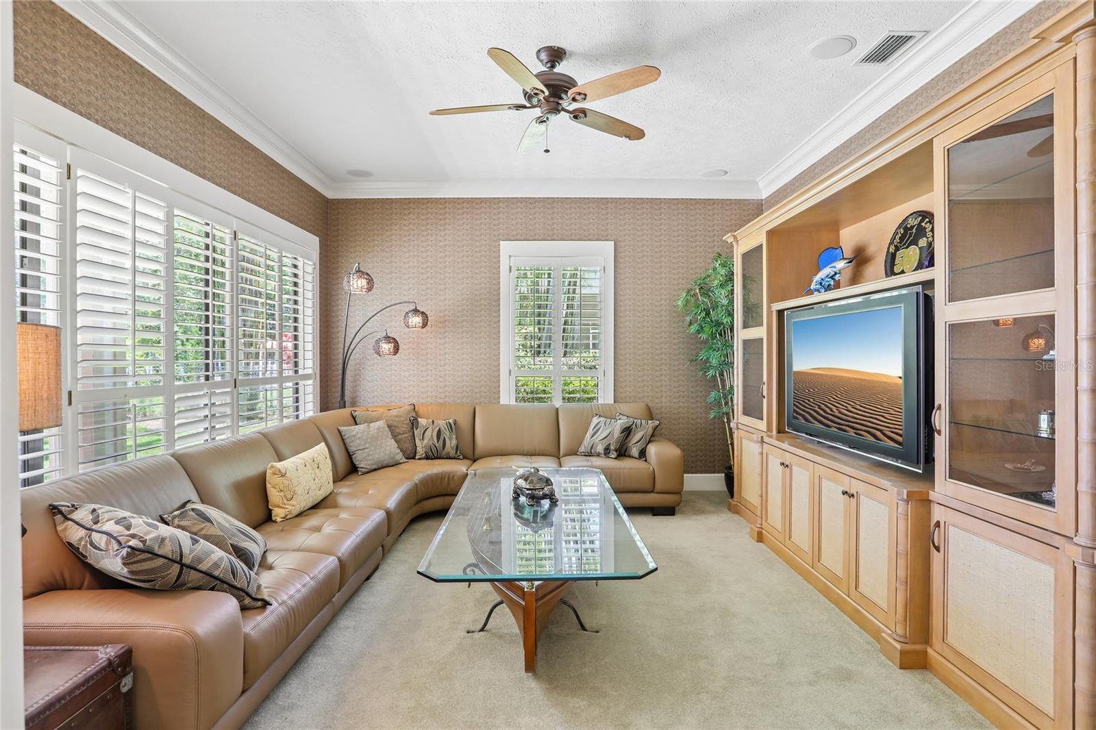 Media room enjoys lake views