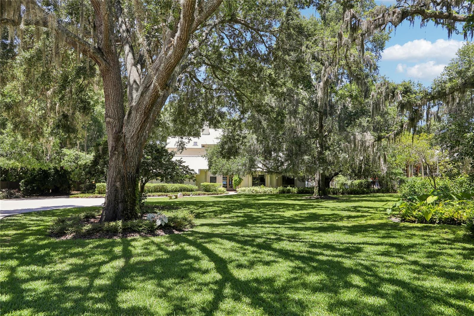 Mature oaks, magnolia, cypress, and pine
