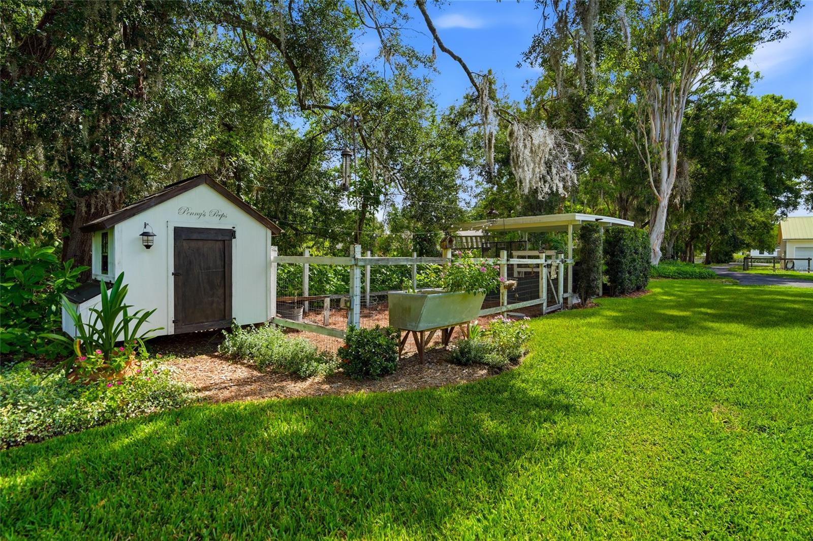 Carport chicken coupe and woodshed