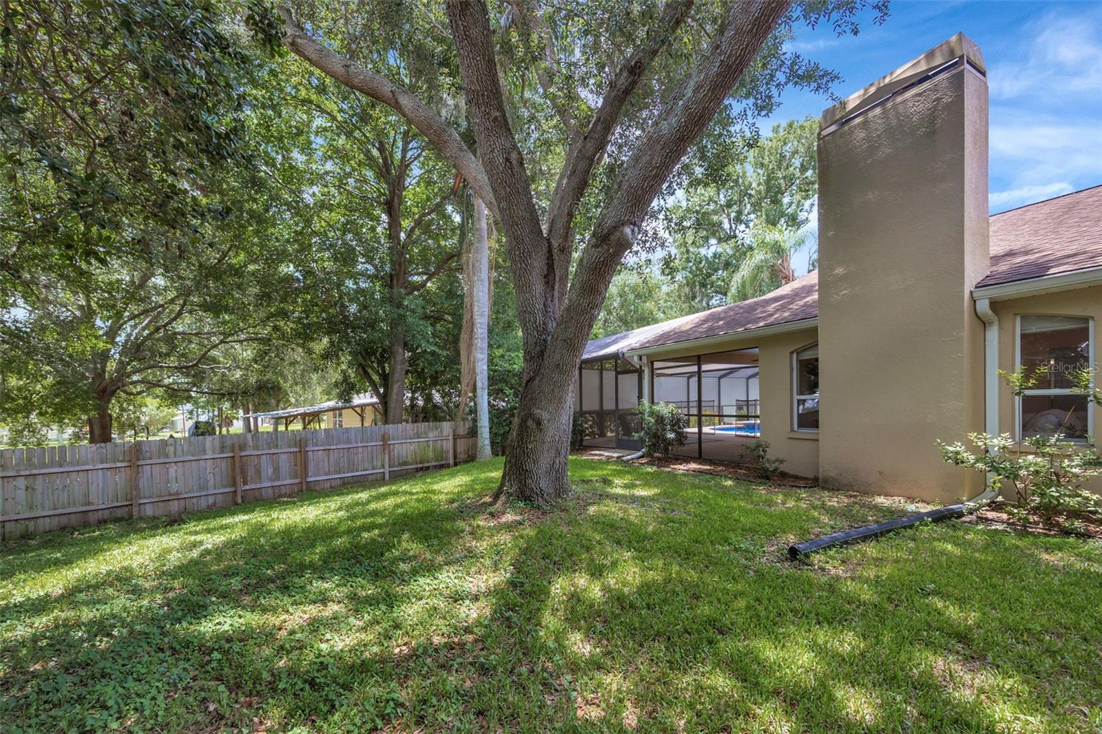 Side Yard